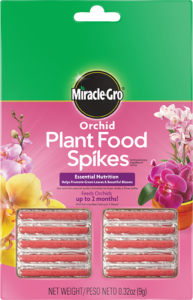 orchid fertilization spikes