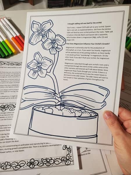 Orchid Fertilization Guide