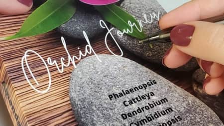 Cover of Orchid Journey Book