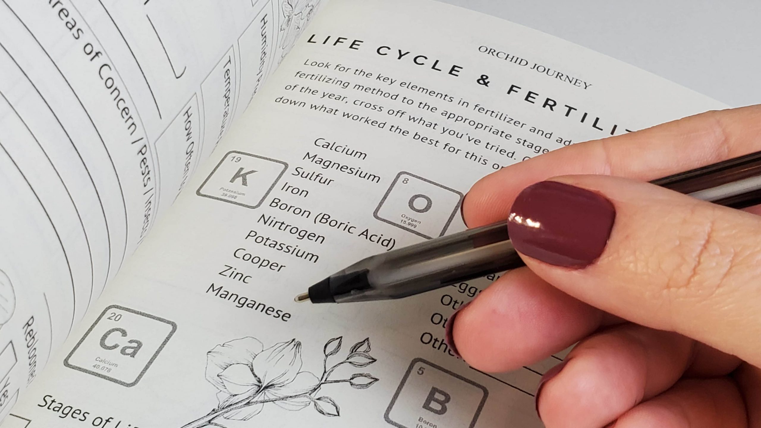 Inside Pages of Orchid Journey