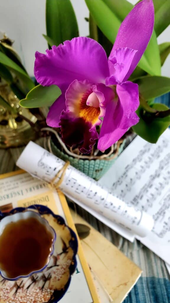 Cattleya Orchid with tea and music sheets
