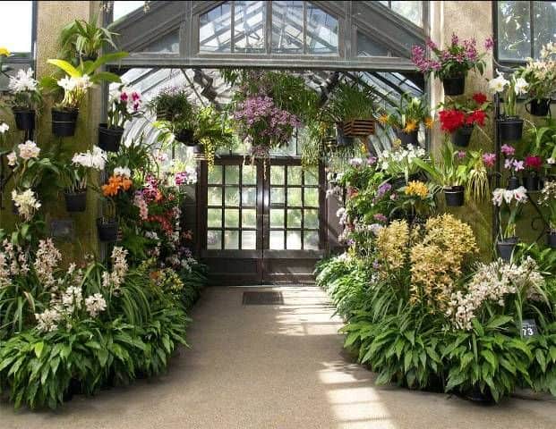 Orchid Greenhouse