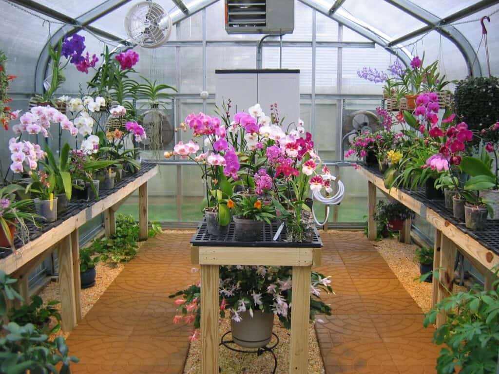 Orchid greenhouse