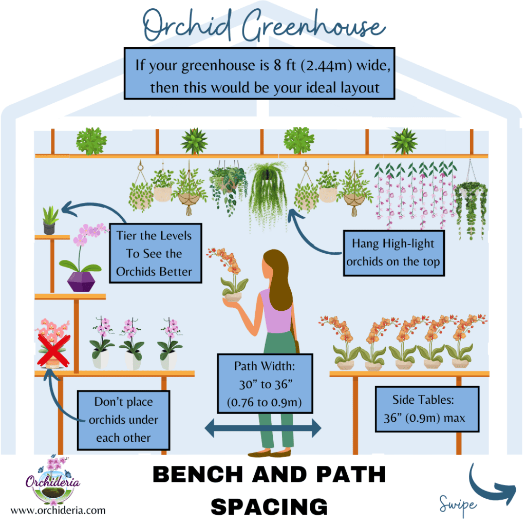 Infografic of an Orchid Greenhouse