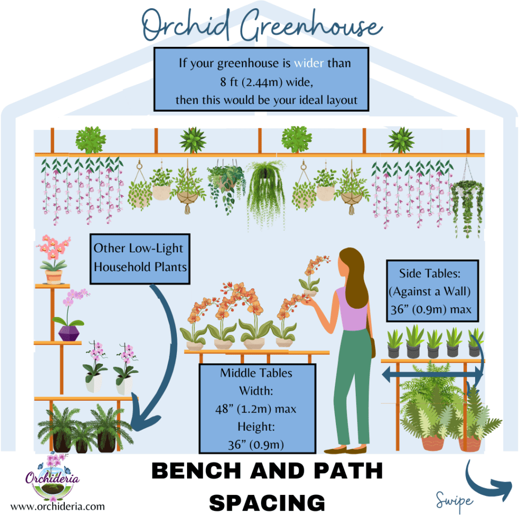 Orchid Greenhouse that is wider than 8ft